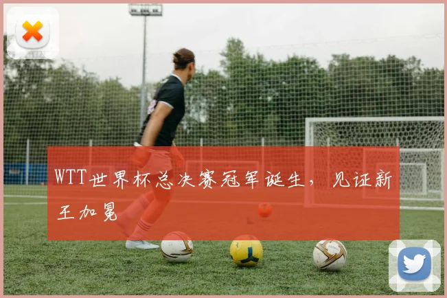 WTT世界杯总决赛冠军诞生，见证新王加冕